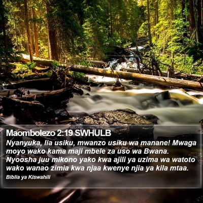 Maombolezo 2:19 SWHULB Bible Verse Image