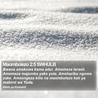 Maombolezo 2:5 SWHULB Bible Verse Image