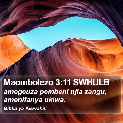 Maombolezo 3:11 SWHULB Bible Verse Image