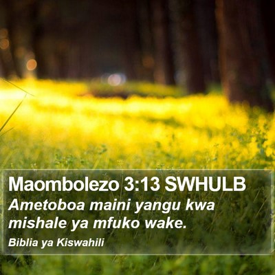Maombolezo 3:13 SWHULB Bible Verse Image