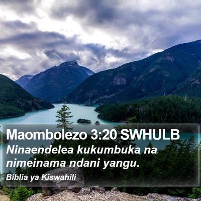 Maombolezo 3:20 SWHULB Bible Verse Image