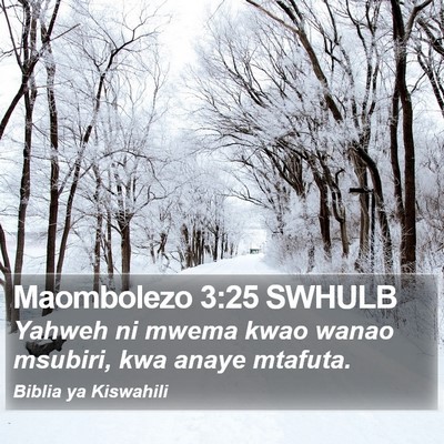 Maombolezo 3:25 SWHULB Bible Verse Image