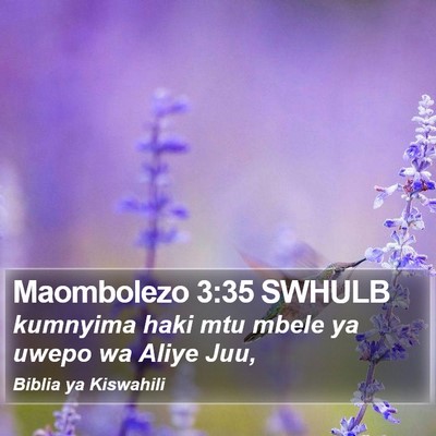 Maombolezo 3:35 SWHULB Bible Verse Image