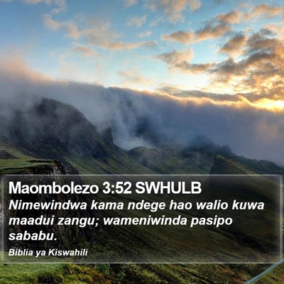 Maombolezo 3:52 SWHULB Bible Verse Image