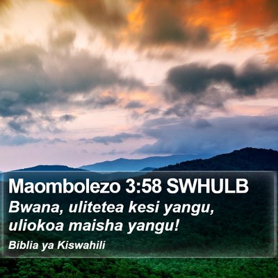 Maombolezo 3:58 SWHULB Bible Verse Image