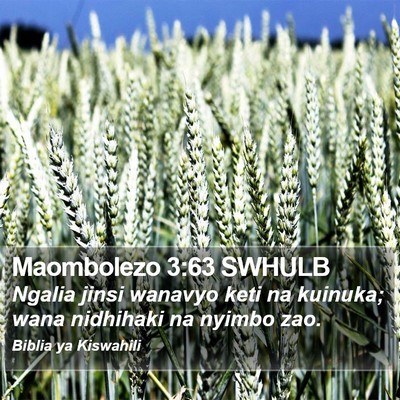 Maombolezo 3:63 SWHULB Bible Verse Image