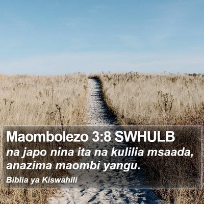 Maombolezo 3:8 SWHULB Bible Verse Image
