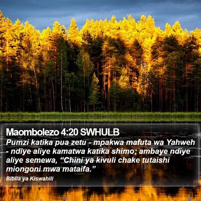 Maombolezo 4:20 SWHULB Bible Verse Image