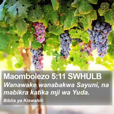 Maombolezo 5:11 SWHULB Bible Verse Image