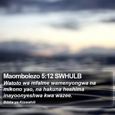 Maombolezo 5:12 SWHULB Bible Verse Image