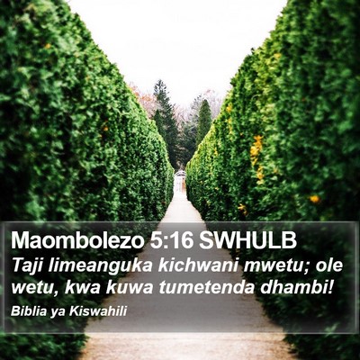 Maombolezo 5:16 SWHULB Bible Verse Image