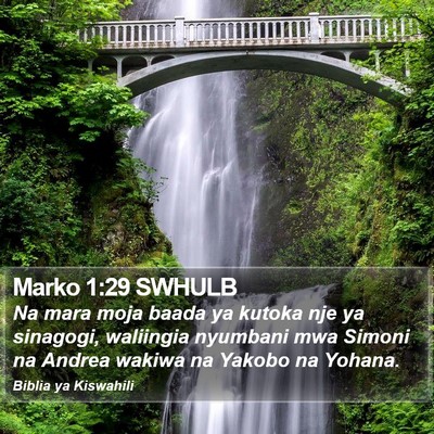 Marko 1:29 SWHULB Bible Verse Image