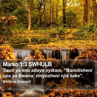 Marko 1:3 SWHULB Bible Verse Image