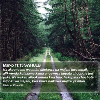 Marko 11:13 SWHULB Bible Verse Image