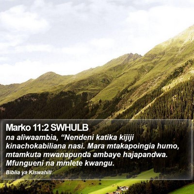 Marko 11:2 SWHULB Bible Verse Image