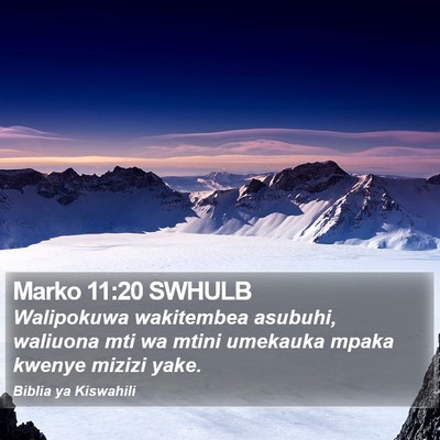 Marko 11:20 SWHULB Bible Verse Image