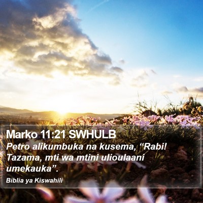 Marko 11:21 SWHULB Bible Verse Image
