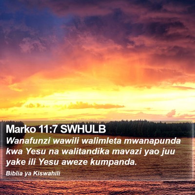 Marko 11:7 SWHULB Bible Verse Image