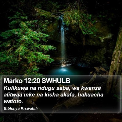 Marko 12:20 SWHULB Bible Verse Image