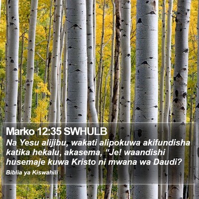 Marko 12:35 SWHULB Bible Verse Image