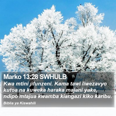 Marko 13:28 SWHULB Bible Verse Image