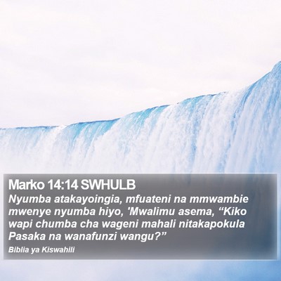 Marko 14:14 SWHULB Bible Verse Image