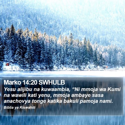 Marko 14:20 SWHULB Bible Verse Image