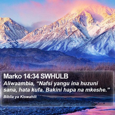 Marko 14:34 SWHULB Bible Verse Image