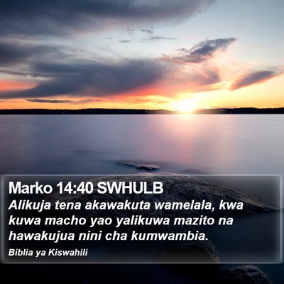 Marko 14:40 SWHULB Bible Verse Image