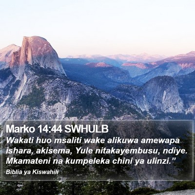 Marko 14:44 SWHULB Bible Verse Image