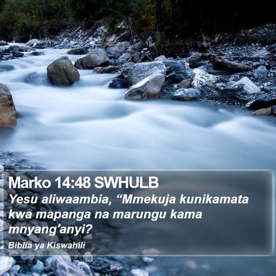 Marko 14:48 SWHULB Bible Verse Image