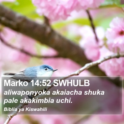 Marko 14:52 SWHULB Bible Verse Image