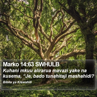 Marko 14:63 SWHULB Bible Verse Image