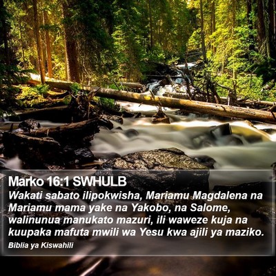 Marko 16:1 SWHULB Bible Verse Image
