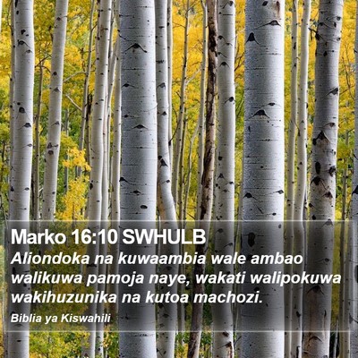 Marko 16:10 SWHULB Bible Verse Image