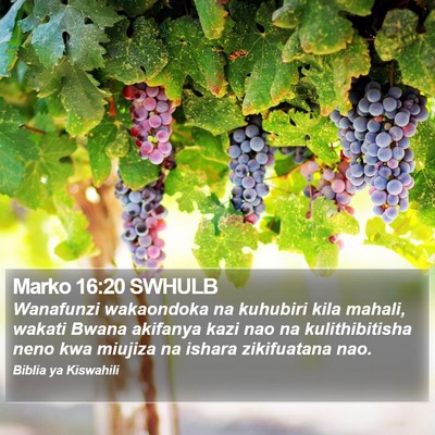Marko 16:20 SWHULB Bible Verse Image