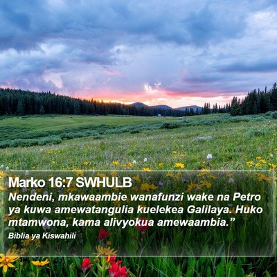Marko 16:7 SWHULB Bible Verse Image