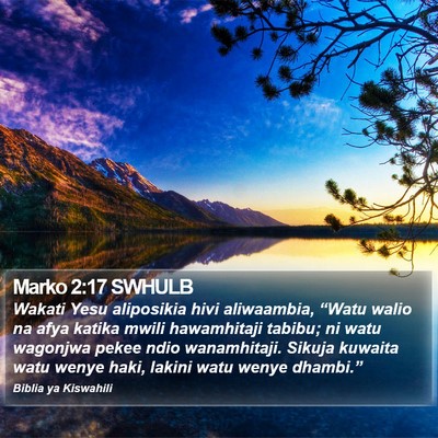 Marko 2:17 SWHULB Bible Verse Image
