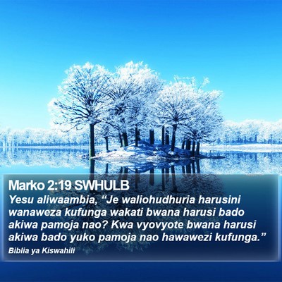 Marko 2:19 SWHULB Bible Verse Image