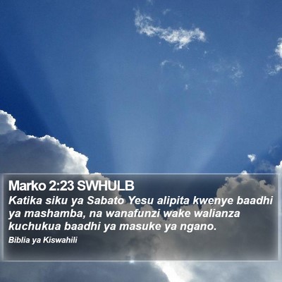 Marko 2:23 SWHULB Bible Verse Image