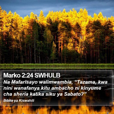 Marko 2:24 SWHULB Bible Verse Image