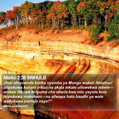 Marko 2:26 SWHULB Bible Verse Image