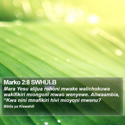 Marko 2:8 SWHULB Bible Verse Image