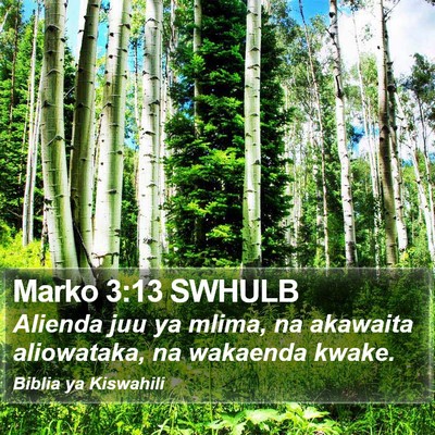 Marko 3:13 SWHULB Bible Verse Image