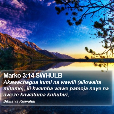 Marko 3:14 SWHULB Bible Verse Image