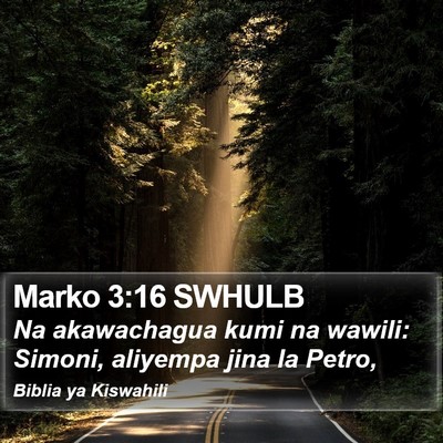 Marko 3:16 SWHULB Bible Verse Image