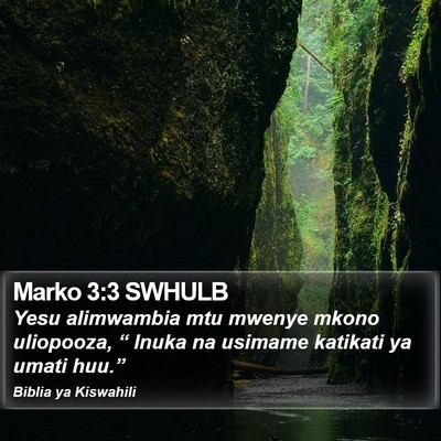 Marko 3:3 SWHULB Bible Verse Image