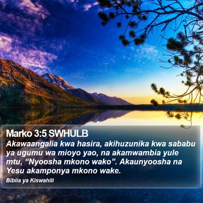 Marko 3:5 SWHULB Bible Verse Image