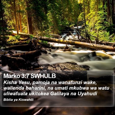 Marko 3:7 SWHULB Bible Verse Image