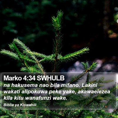 Marko 4:34 SWHULB Bible Verse Image